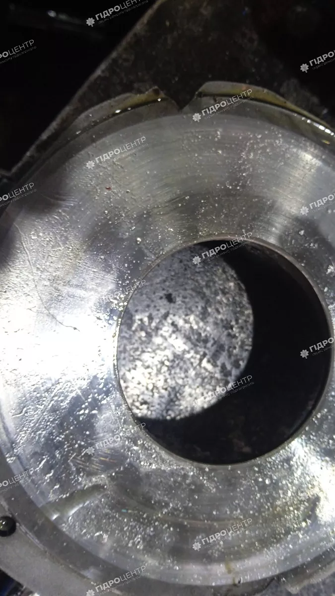 repair-axial-plunger-hydron_4